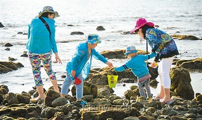 三亚旅游安全挑战：游客被不明物咬伤身亡事件深度剖析